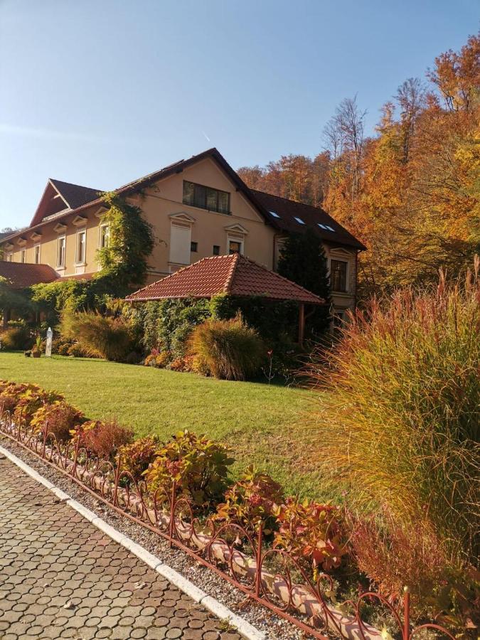 Hôtel Vila Cerbul Albastru à Moneasa Extérieur photo