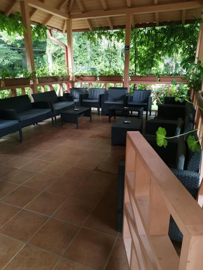 Hôtel Vila Cerbul Albastru à Moneasa Extérieur photo