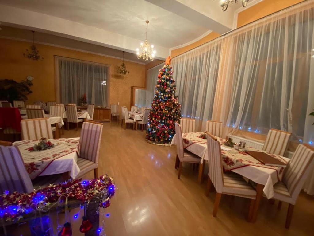 Hôtel Vila Cerbul Albastru à Moneasa Extérieur photo
