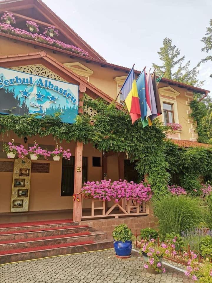 Hôtel Vila Cerbul Albastru à Moneasa Extérieur photo